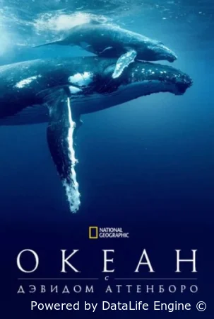 Дэвид Аттенборо: Океан (2025) смотреть онлайн в HD