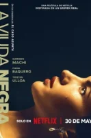 Игра вдовы (2025) смотреть онлайн в HD